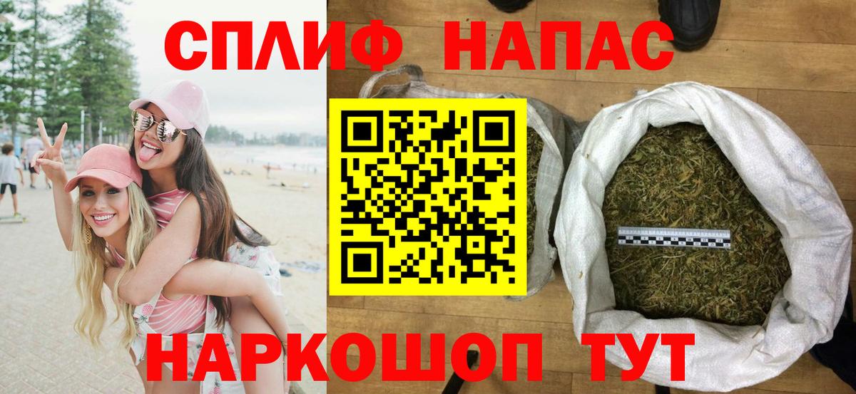 Бошки марихуана конопля Торжок